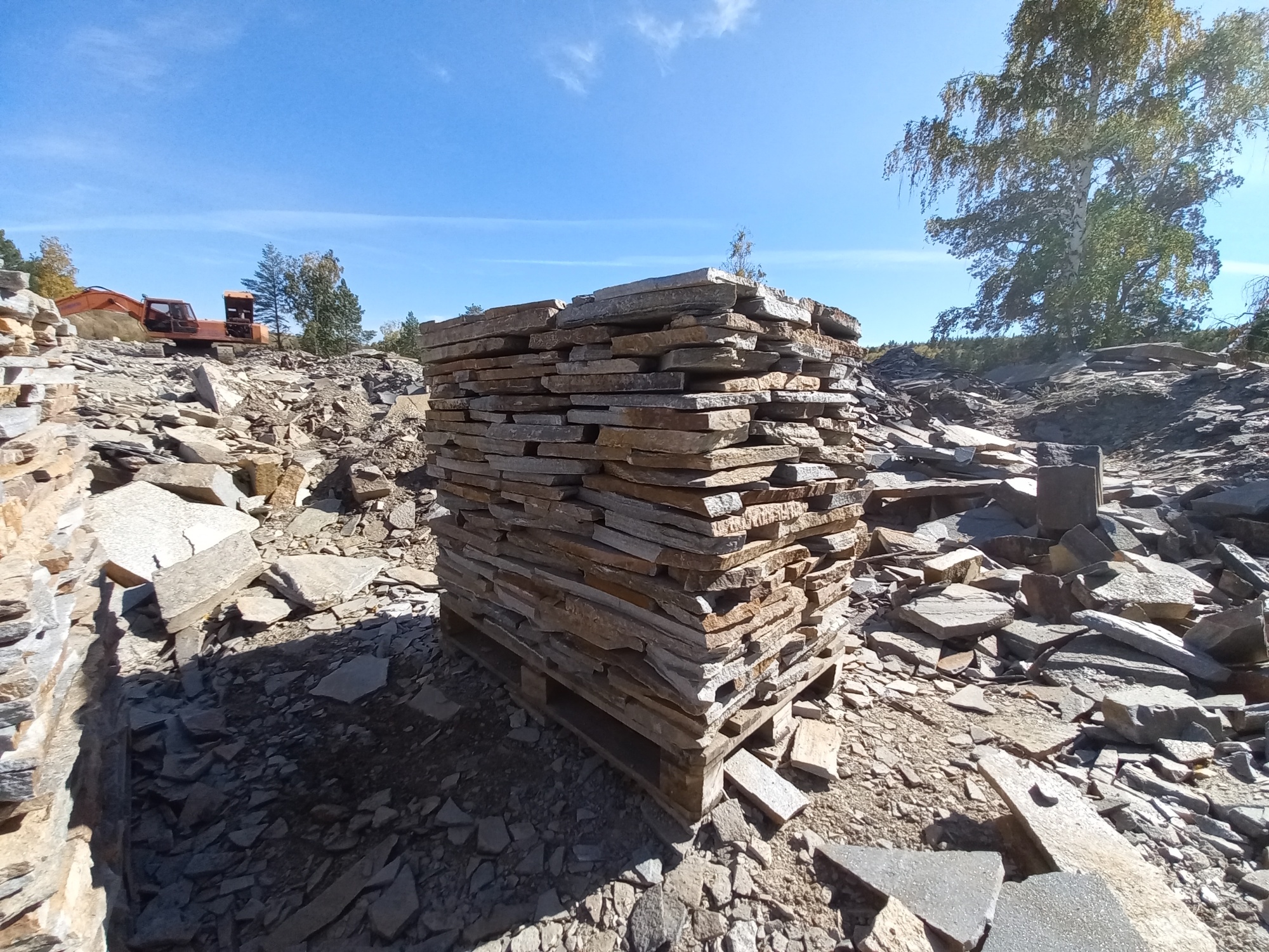 Плитняк златолит серебристый для мощения на бетон купить в Сергиеву Посаду